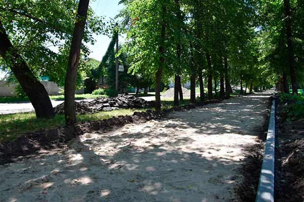 У Пирятині розпочато облаштування березової алеї