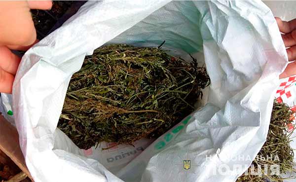 Наркоділки, які діяли на території Миргородщини Наркоділки, які діяли на території Миргородщини