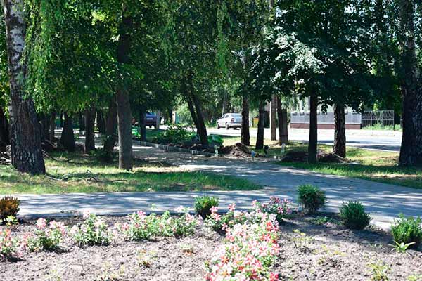 У Пирятині розпочато облаштування березової алеї