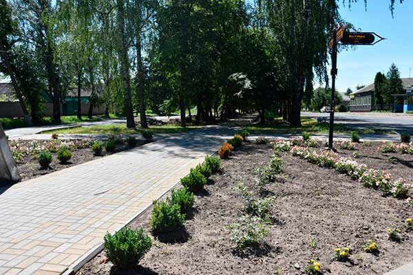 У Пирятині розпочато облаштування березової алеї