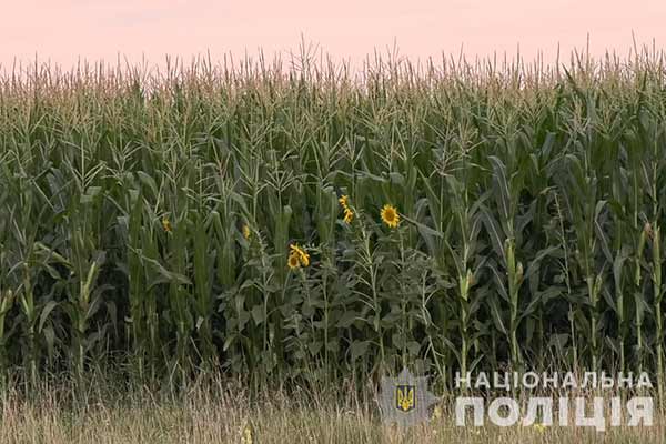 На Полтавщині поліція продовжує пошуки озброєного зловмисника