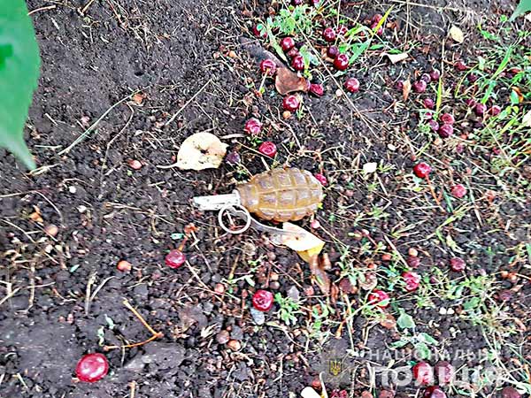 Розбійний напад невідомих на Полтавщині