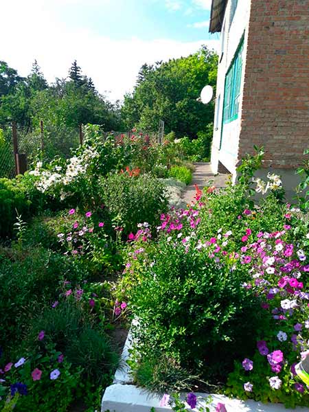 Конкурс на кращий благоустрій території