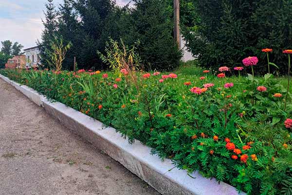 Конкурс на кращий благоустрій території