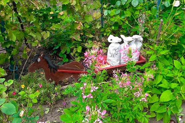 Конкурс на кращий благоустрій території