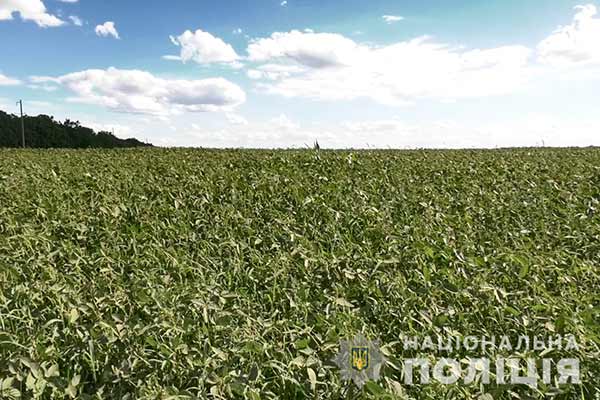 На Полтавщині поліція продовжує пошуки озброєного зловмисника