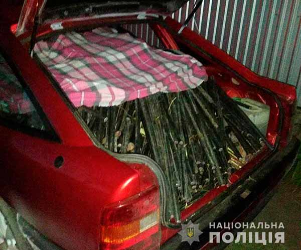 На Полтавщині затримали викрадачів телекомунікаційних кабелів