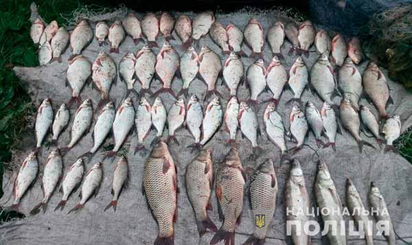 Незаконний вилов риби