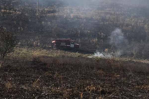 Пожежа на відкритій території