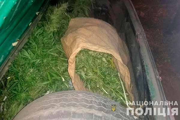На Полтавщині поліція зупинила автомобіль з коноплями