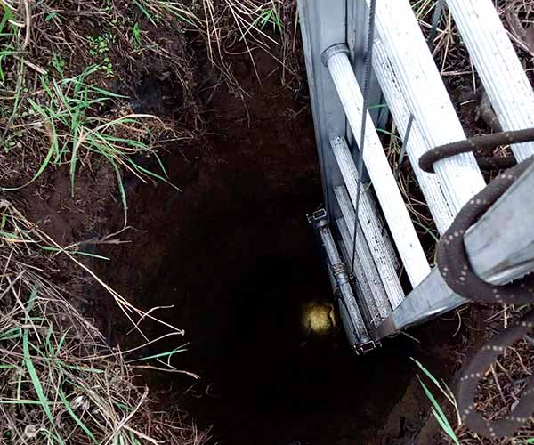 Рятувальники витягли собаку із занедбаного колодязя