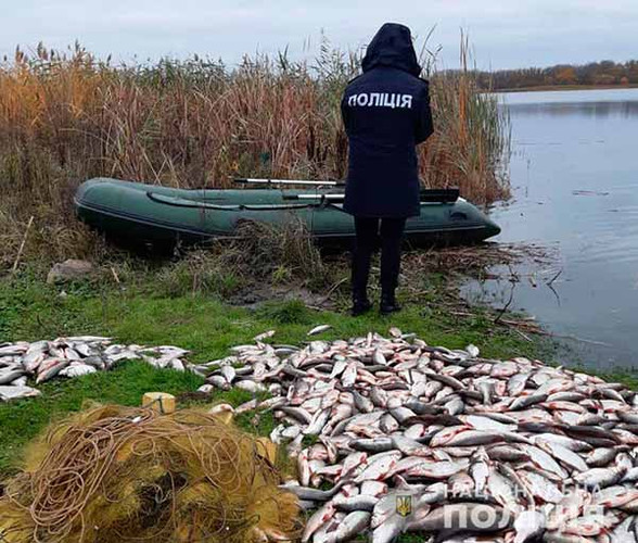 Незаконний вилов риби