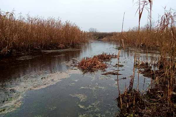 Рятувальники вилучили з р. Сула загиблого чоловіка