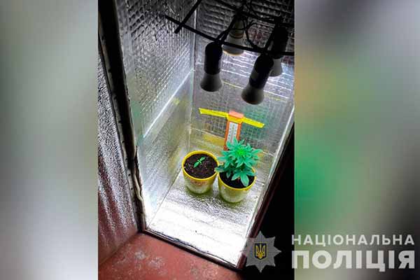 На Полтавщині викрили групу наркодилерів