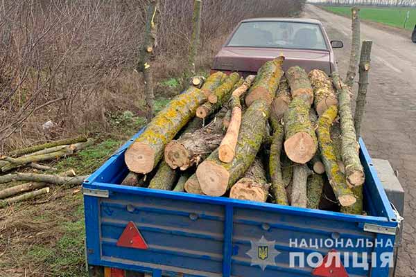 На Полтавщині правоохоронці запобігли спробі крадіжки деревини