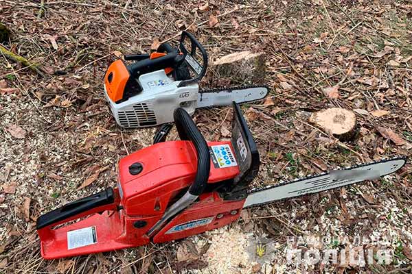 На Полтавщині правоохоронці запобігли спробі крадіжки деревини