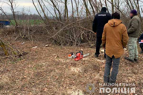 На Полтавщині правоохоронці запобігли спробі крадіжки деревини