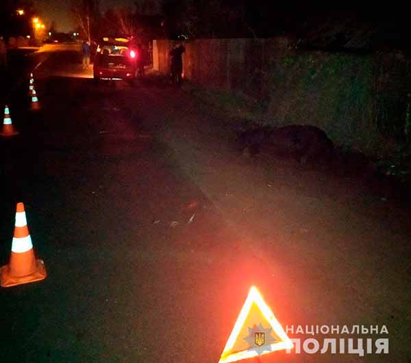 Під Кременчуком, водій збив в темряві коня