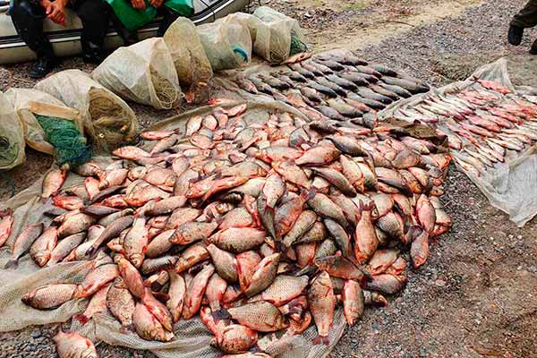  За 2020 рік рибоохоронними інспекторами Полтавщини зафіксовано 3,5 тис. порушень 