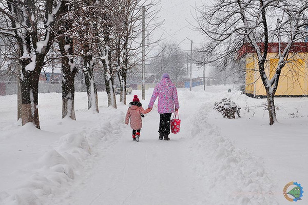 Гребінка в снігу