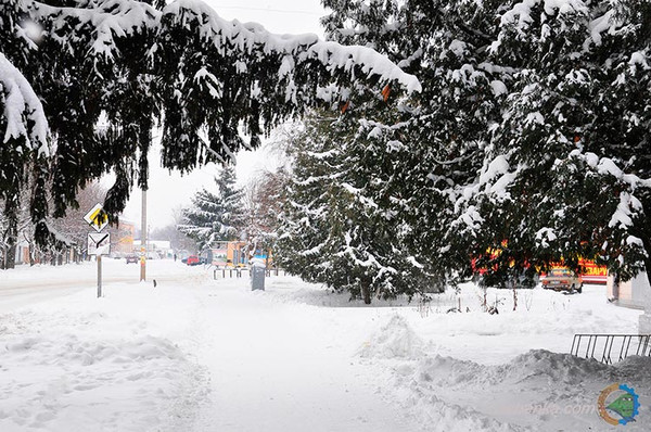 Зимова Гребінка