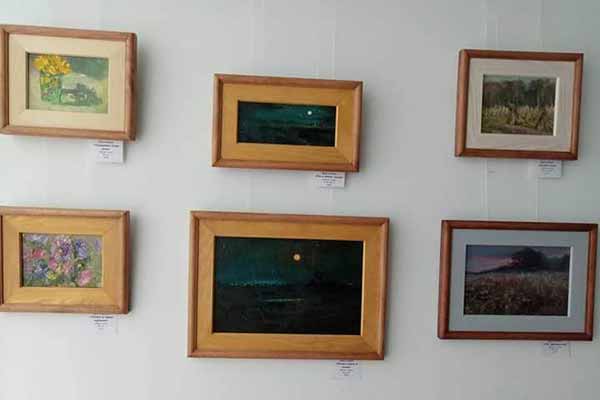 виставка художниці із Оржиччини