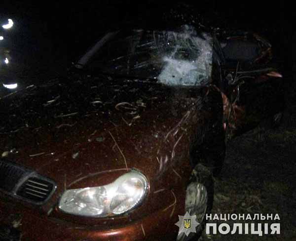 На Полтавщині авто злетіло в кювет