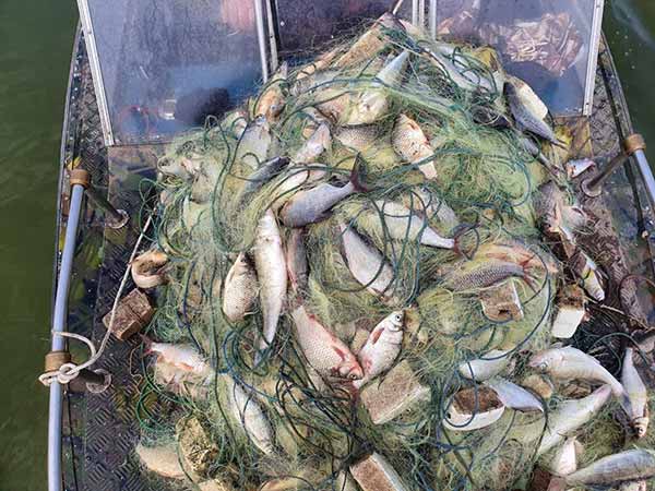 виявлено та знято з лову понад кілометр сіток