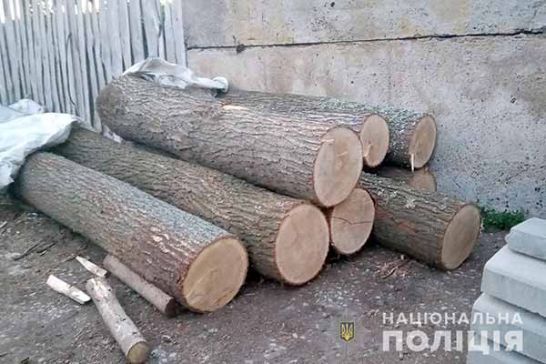 На Полтавщині поліцейські завадили незаконній вирубці лісу (ФОТО)