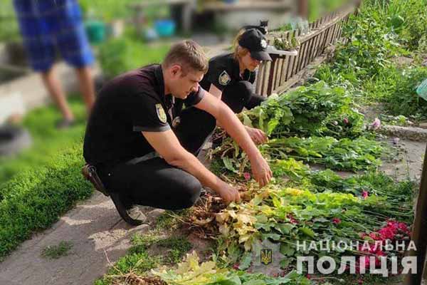 незаконне вирощування снодійного маку