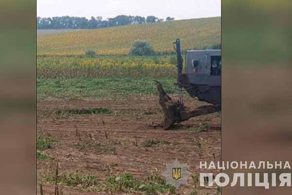 На соняшниковому полі виявили понад півсотні тисяч рослин конопель На соняшниковому полі виявили понад півсотні тисяч рослин конопель