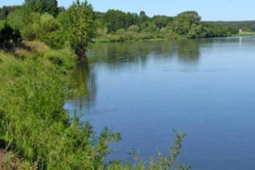 Зниклу на Полтавщині 69-річну жінку виявили у водоймі