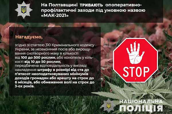 незаконне вирощування снодійного маку