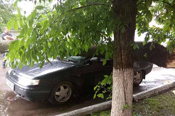 Буревій у Гребінці: повалені дерева та розбиті автомобілі