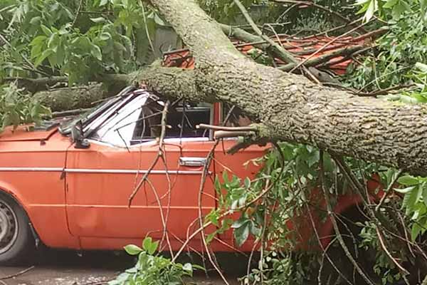  Буревій у Гребінці: <b>повалені</b> <b>дерева</b> та розбиті автомобілі (ФОТО) 