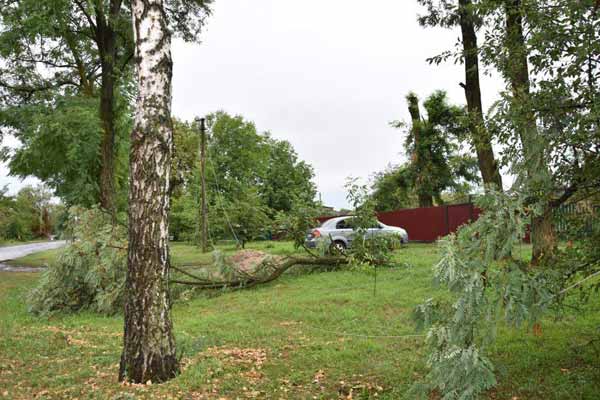 Наслідки негоди на Пирятинщині