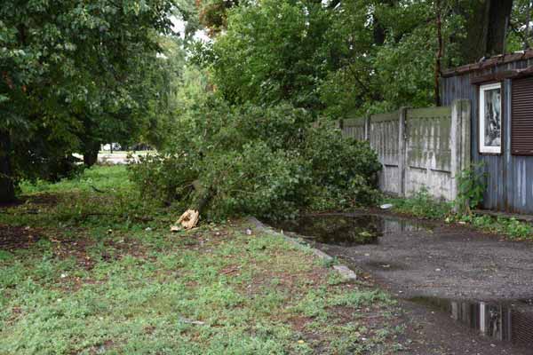 Наслідки негоди на Пирятинщині