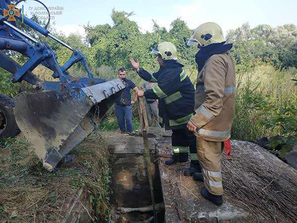Корова впала у погріб