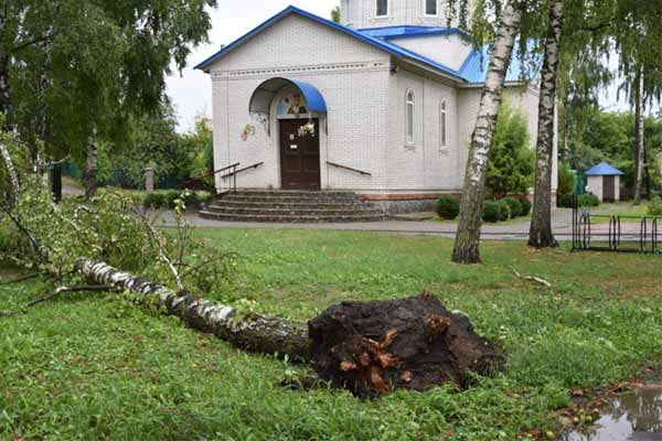  Наслідки негоди на Пирятинщині: зламані <b>дерева</b>, потрощені дахи, обірвані лінії електромереж 