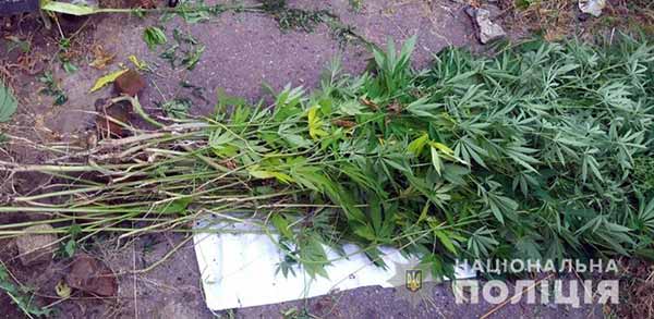 Операція «Мак» на Полтавщині