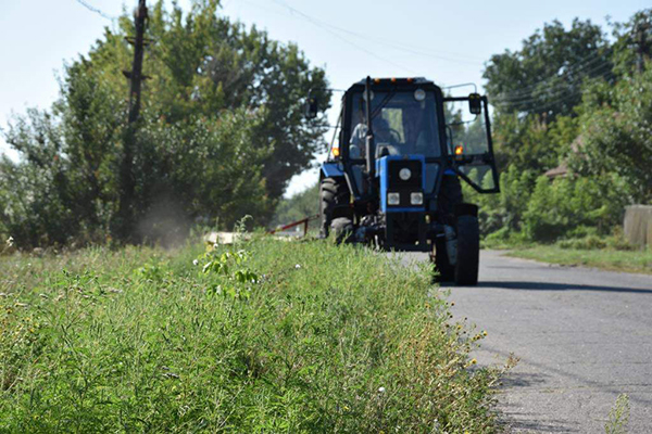Як в Пирятинській громаді борються з амброзією