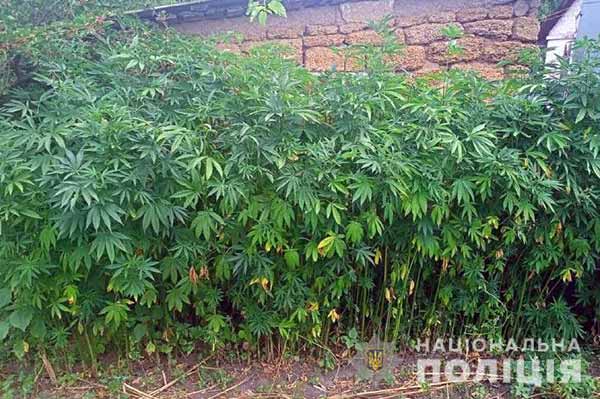 Операція «Мак» на Полтавщині