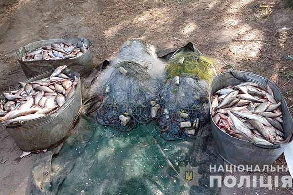 Незаконний вилов риби