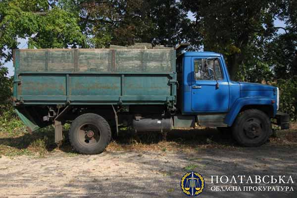 незаконна порубку дерев у захисних лісових насадженнях
