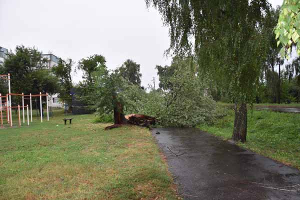 Наслідки негоди на Пирятинщині