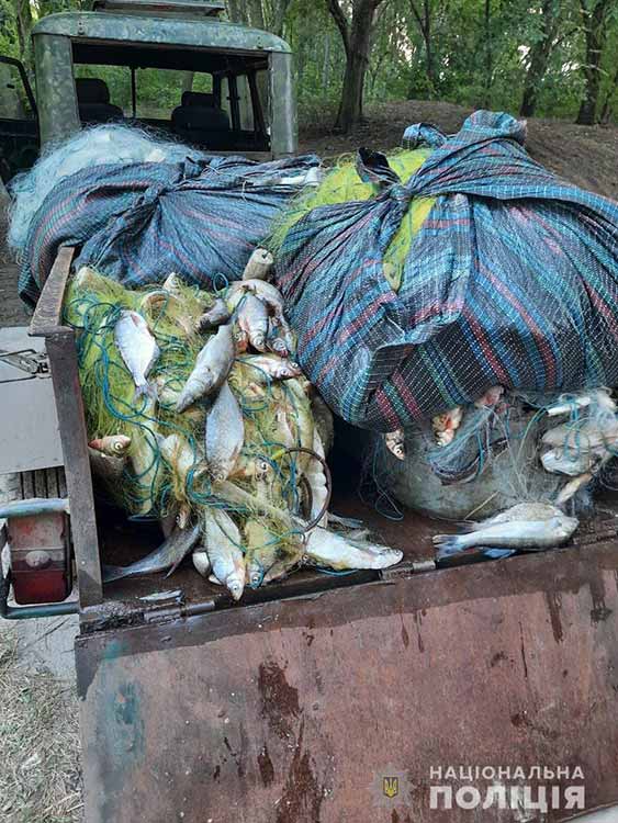 Незаконний вилов риби