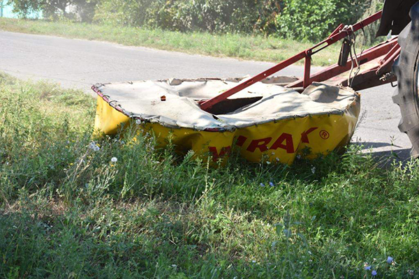 Як в Пирятинській громаді борються з амброзією
