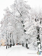 Казкова зима в Гребінці (Полтавщина)