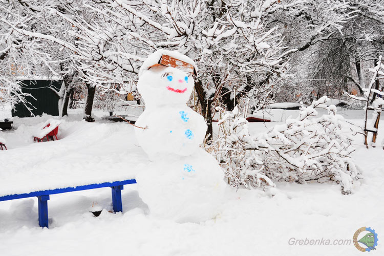 У Гребінці в дворі зліпили сніговика