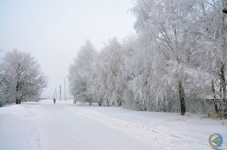 Ранковий іній. Неповторна краса вранішніх приморозків